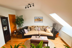 20230629_165540_edited