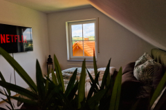 20230704_123523_edited