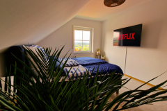 20230704_175352_edited